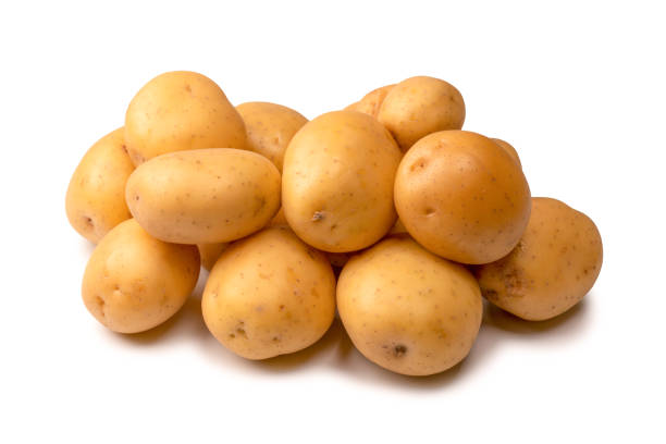 istock A group of fresh tasty potato isolated on white background. 1425635005