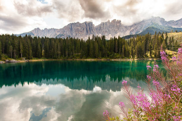 istock Carezza Lake, South Tyrol, Italy 1425648193