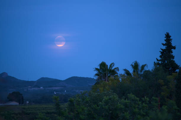 istock Beautiful moon in the dusk. 1425649296