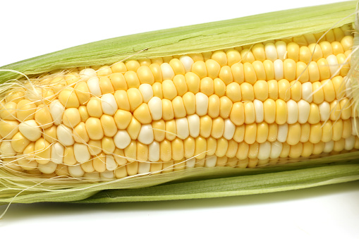 Raw corns isolated on a white background.