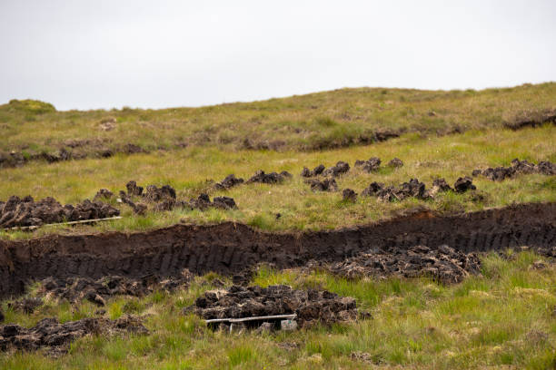 istock Peat or turf extraction in the Hebrides 1425654729