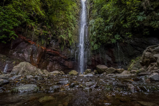 istock Charming waterfall hidden in a forest - main attraction of levada 25 fontes 1425655876