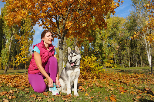 Sporty woman lacing up sneakers while whe walk with her husky dog