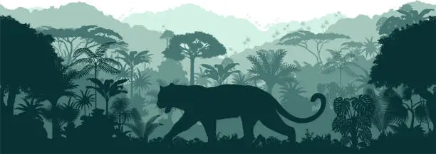 Vector illustration of Vector horizontal seamless tropical rainforest Jungle background with black panther