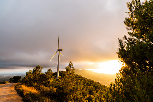Wind Turbine Trees and Sunset in Voltorera Wind Farm - Tarragona Province - Spain