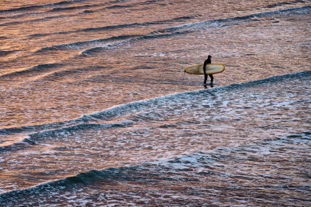 will, cornwall - bude photos et images de collection