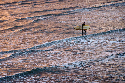 A lone surfer returns from the sea at dusk, his board tucked under his arm. On a cold, winter's day in England, it's a dedicated sportsman that braves the water. The golden sunset reflects in the surf as he makes his way homeward
