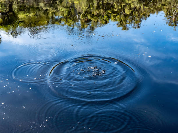 istock Splashing water ripples in lake 1425704683