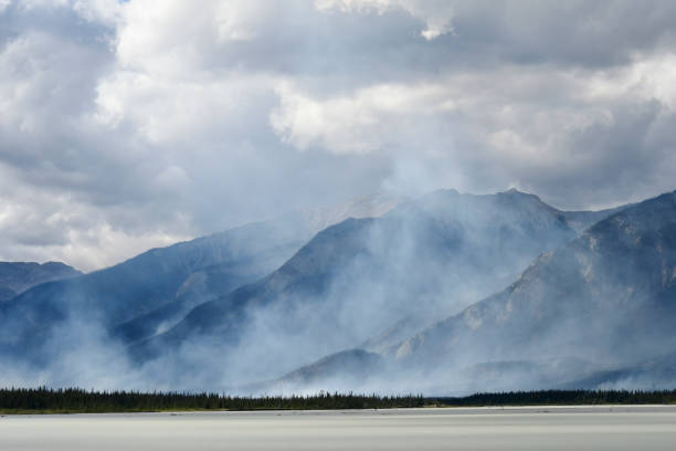 istock Forest Fire in the Canadian Rocky Mountains 1425712384