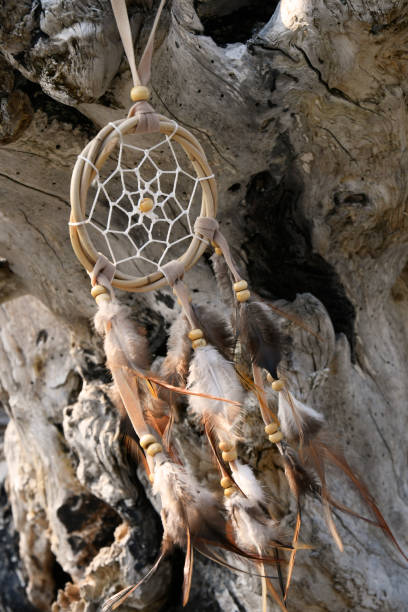 istock Dream Catcher and Weathered Driftwood 1425712632