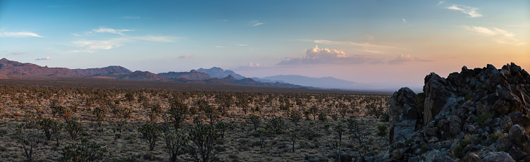 Shot of the Mojave National Preserve in California. The preserve was established to protect nature and local animal species.