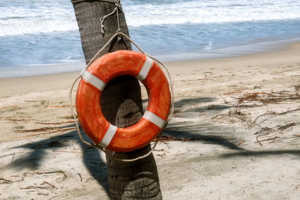 istock Lifebuoy hanging on a palm tree with a beach in the background 1425725018