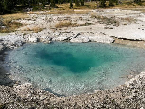 istock Yellowstone National Park scenic view 1425731579