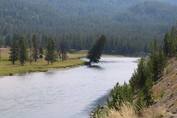 istock Yellowstone National Park scenic view 1425731584