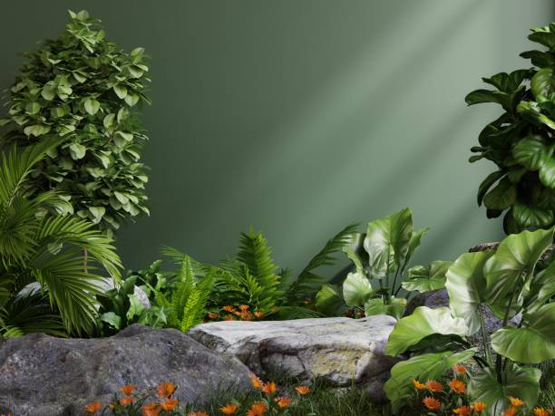 istock Stone platform in tropical forest for product presentation and green forest. 1425734137