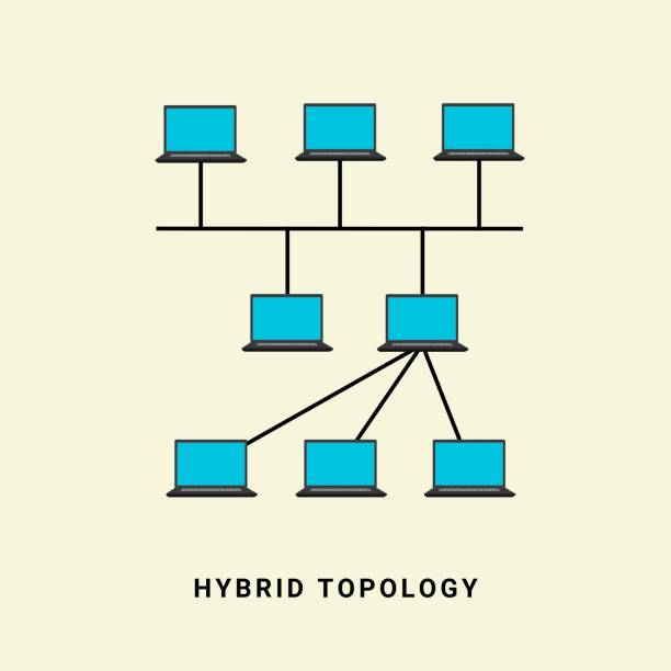 Computer Graphics Topology Designs Network Topology Graphics at Roberta York blog