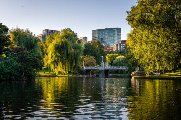 Historical Sites of Boston, Massachusetts The historical landmarks and sites of downtown Boston, Massachusetts. charles river stock pictures, royalty-free photos & images