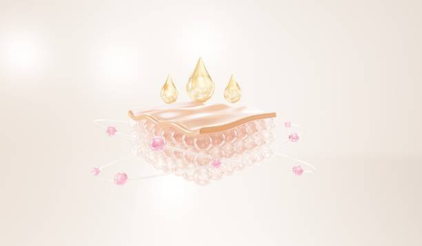 istock Oli and vitamin drop on skin cell. serum through the skin layer. 1425753965