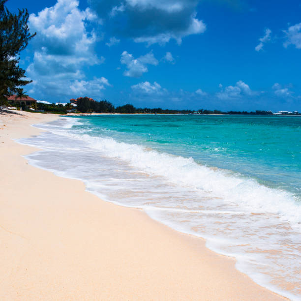 Tropical Beach in Caribbean Sea