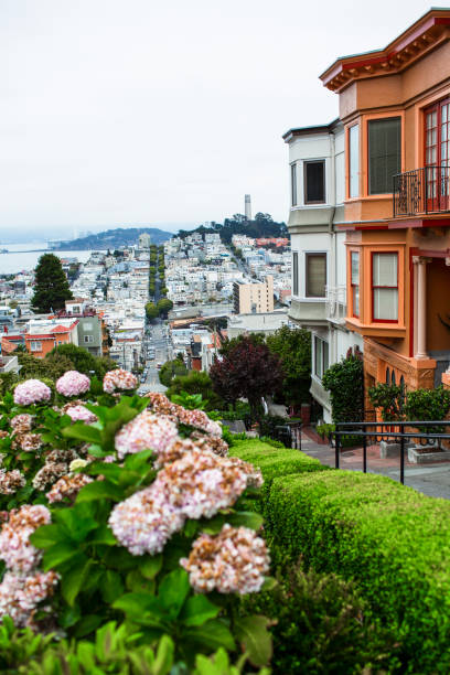 lombard street, san francisco - bay bridge bridge california dawn stock-fotos und bilder