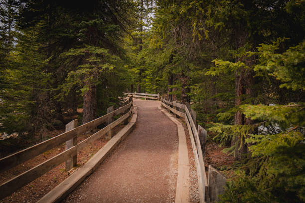 istock Trail in Beautiful British Columbia 1425760686