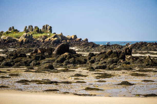 istock Chausey island Brittany, France 1425761905