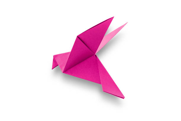 istock Pink paper dove origami isolated on a white background 1425762570