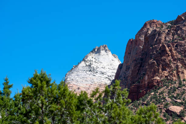 istock Zion National Park landscape 1425769257