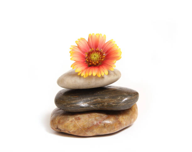 istock Balanced Stones With Flower on Top Isolated on White Background 1425775680