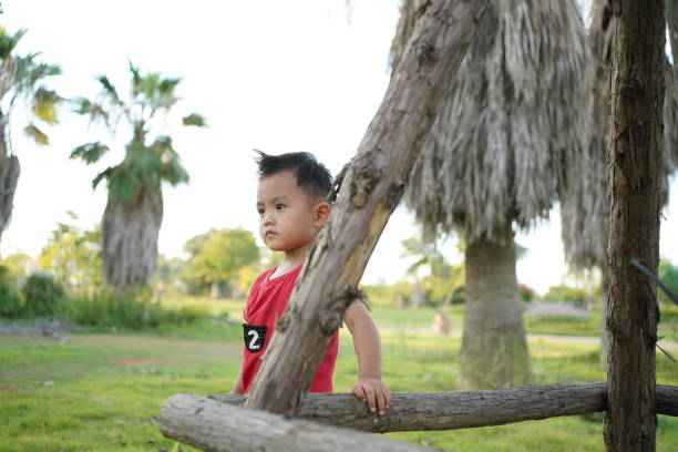 istock Asian boy with firm eyes 1425776483