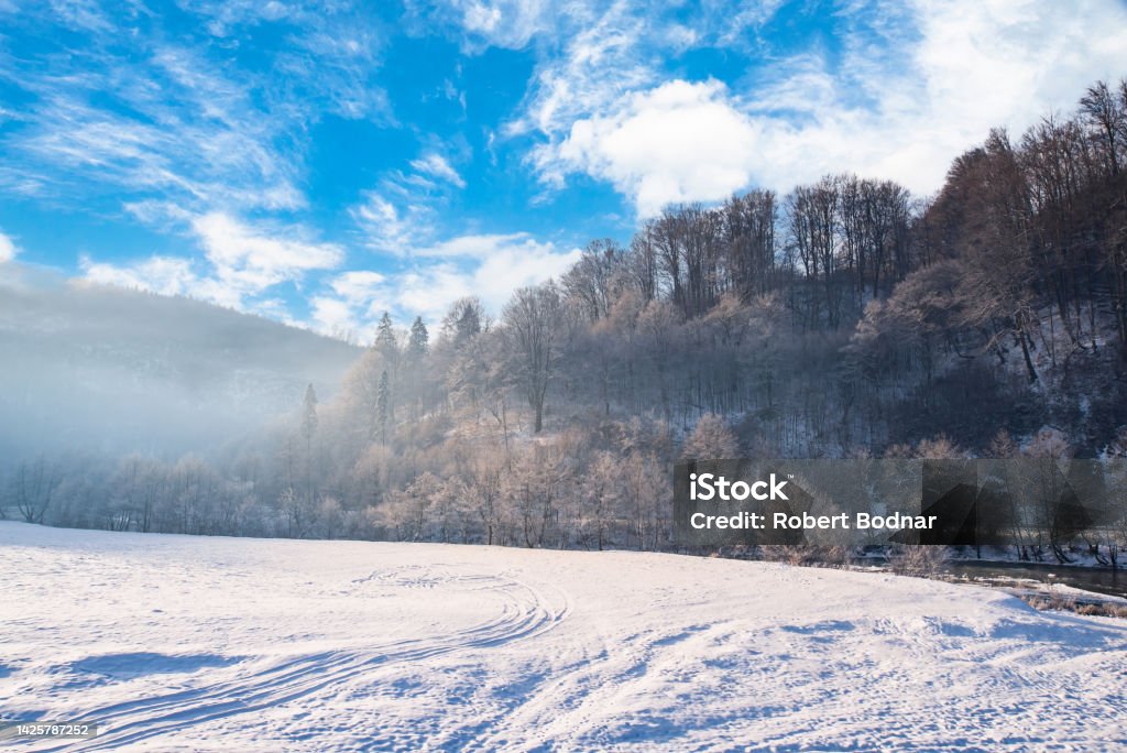 glade in the snow near the forest and mountains in the winter season. winter view Carpathian Mountain Range Stock Photo