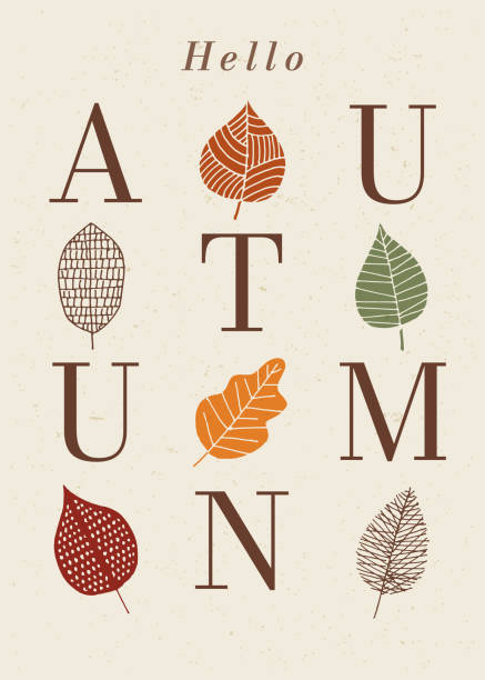 ilustrações, clipart, desenhos animados e ícones de saudação sazonal de outono. elemento de design de ação de graças. - autumn leaf thanksgiving falling