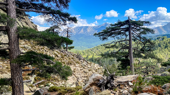 View of stream, pine trees, boulders and mountains from Cascades de Radule on the way to Paglia Orba, Corsica Island, France.