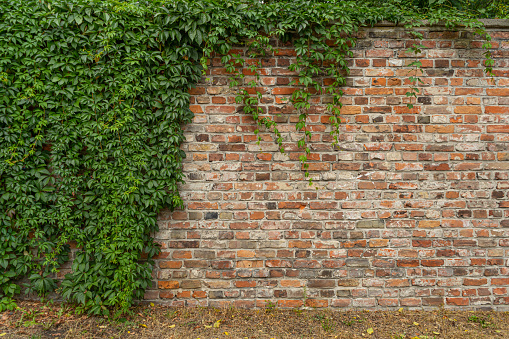 Variation in the colours and textures of a large area of clean brick wall.