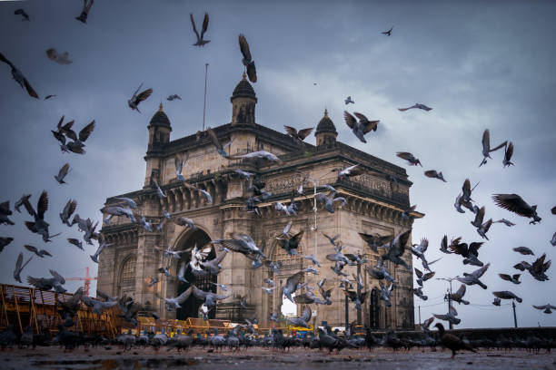 istock The Gateway of India 1425802169