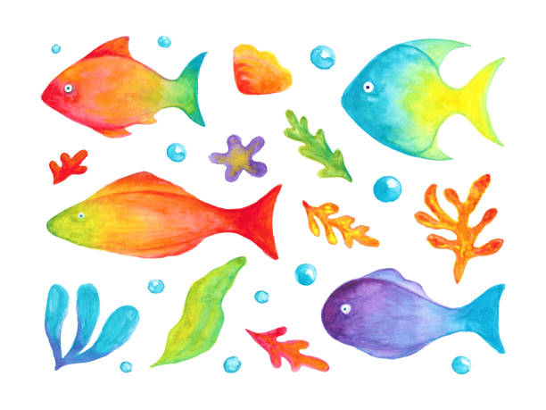 Fish Clip Color Colorful Fish Clip Art 58,800+ Colourful Fish Stock Illustrations,