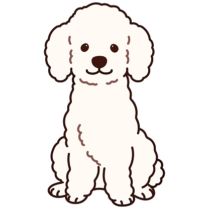 Free French Poodle Clipart in AI, SVG, EPS or PSD