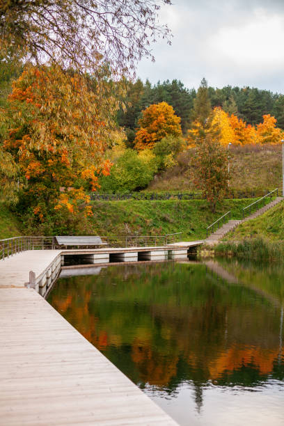 istock Vertical autumn landscape in the park in Vilnius 1425814819