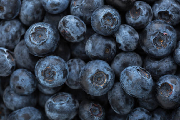 istock Close-up of fresh Blueberries (Northern Highbush Blueberry). Selective focus. Flat lay 1425820886