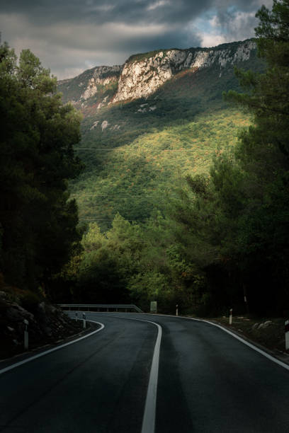 istock Leading road to mountains 1425823447