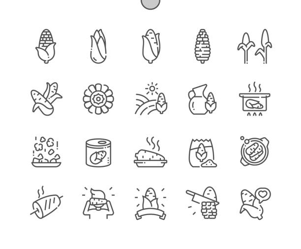 ilustraciones, imágenes clip art, dibujos animados e iconos de stock de maíz. nutrición de alimentos orgánicos vegetales naturales. tienda de alimentos, supermercado. menú para cafetería. iconos de línea delgada de pixel perfect vector. pictograma mínimo simple - maíz tierno