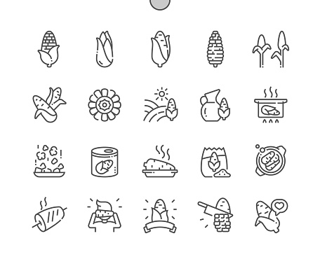 Corn. Nature vegetable organic food nutrition. Food shop, supermarket. Menu for cafe. Pixel Perfect Vector Thin Line Icons. Simple Minimal Pictogram