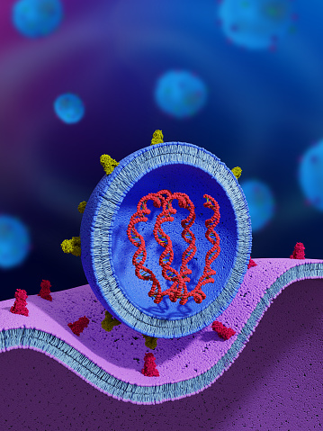 3d render of targeted cell entry of a liposome carrying DNA