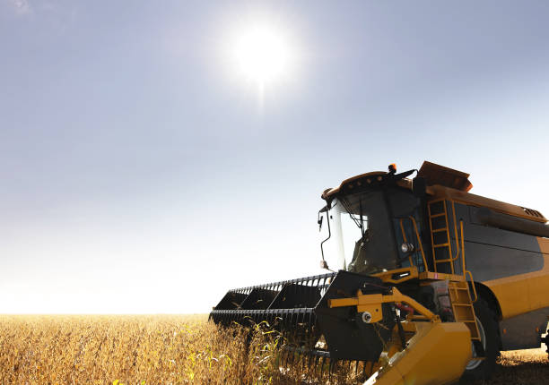 istock Harvesting combine in the wheat. 1425830716