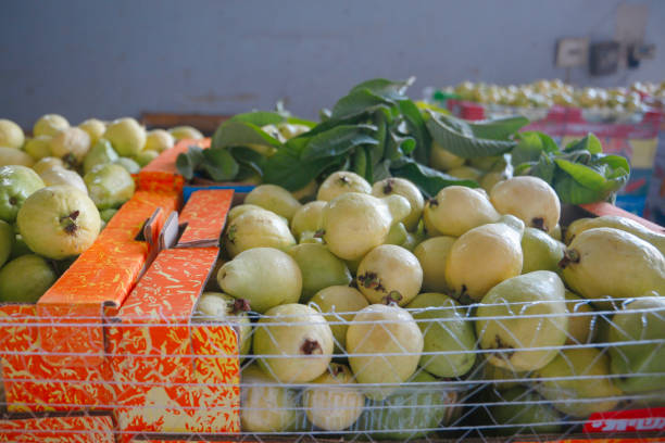 frutas frescas de goiaba no mercado matinal de qalqilya - muro da cisjordânia fotos - fotografias e filmes do acervo