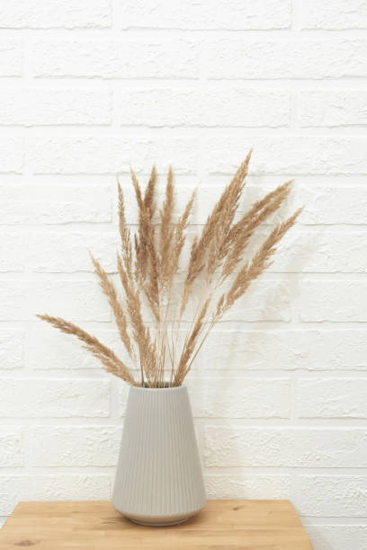 istock Bouquet of dry grass branches in modern gray ceramic vase on white table against white brick wall. Minimalistic composition in neutral tones in Scandinavian style. 1425846928
