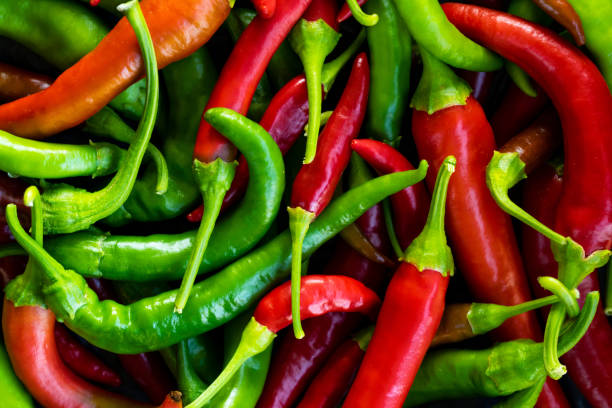 foto ravvicinata di peperoncino verde e rosso appeso al ramoscello nell'aia - pepper vegetable red green foto e immagini stock