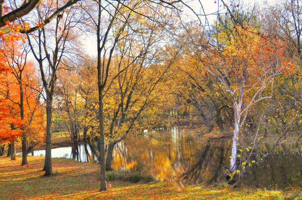 istock Small Creek reflecting Autumn Leaf Colors-Howard County, Indiana 1425850884