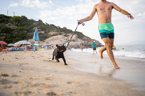 Senior Man Walking Along Winter Beach With Pet Dog Having Fun