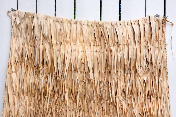 istock Dry palm leaves wall nature texture background. Tropical exotic design, boho decoration. Summer nature concept, space for text. 1425853128